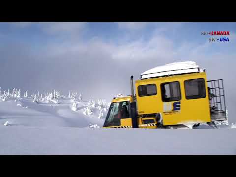 Northern Escape Heliskiing: Cat Ski Backup